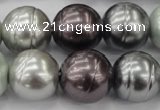 CSB651 15.5 inches 18mm whorl round mixed color shell pearl beads