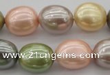 CSB679 15.5 inches 16*19mm oval mixed color shell pearl beads