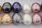 CSB696 15.5 inches 13*15mm oval mixed color shell pearl beads