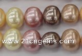 CSB699 15.5 inches 13*15mm oval mixed color shell pearl beads