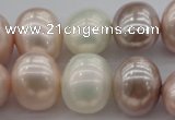 CSB713 15.5 inches 16*19mm oval mixed color shell pearl beads