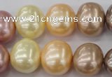 CSB715 15.5 inches 16*19mm oval mixed color shell pearl beads