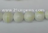 CSB954 15.5 inches 12mm round shell pearl beads wholesale