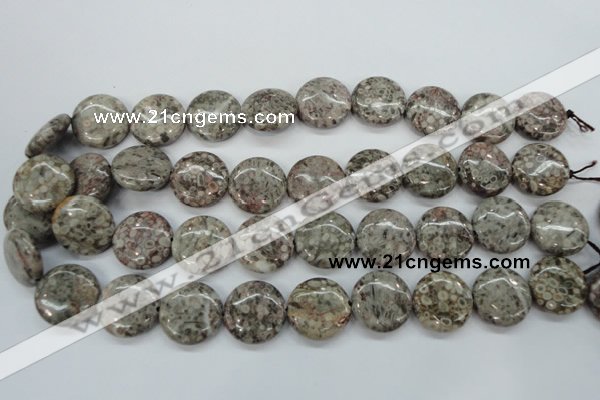 CSF01 15.5 inches 20mm flat round shell fossil jasper beads