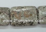 CSF10 15.5 inches 22*30mm rectangle shell fossil jasper beads