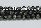 CSH01 15.5 inches 6mm round natural seraphinite gemstone beads