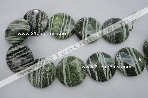 CSJ125 15.5 inches 40mm faceted coin green silver line jasper beads