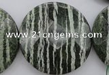 CSJ126 15.5 inches 50mm faceted coin green silver line jasper beads