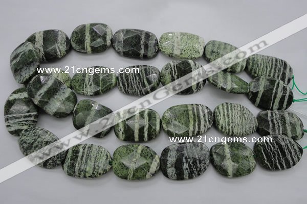 CSJ127 15.5 inches 20*30mm faceted freeform green silver line jasper beads