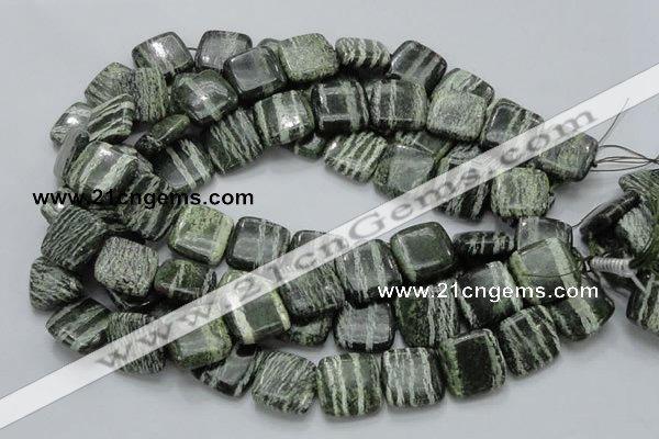 CSJ29 15.5 inches 20*20mm square green silver line jasper beads