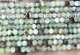 CSJ300 15.5 inches 4mm round serpentine new jade beads wholesale