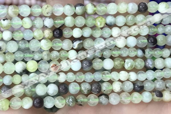 CSJ300 15.5 inches 4mm round serpentine new jade beads wholesale