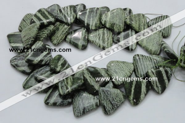 CSJ35 15.5 inches 30*30mm triangle green silver line jasper beads