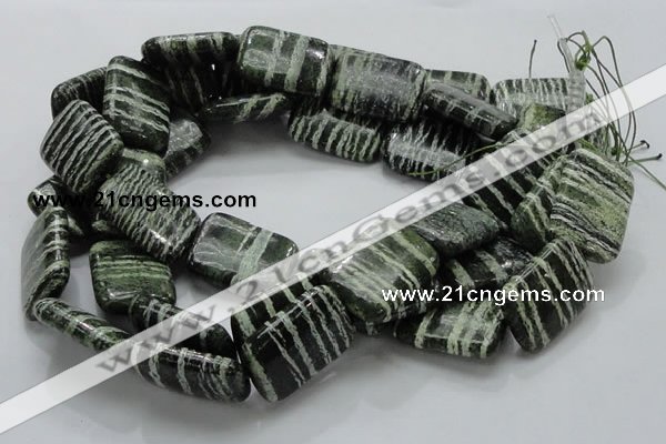 CSJ39 15.5 inches 22*30mm rectangle green silver line jasper beads