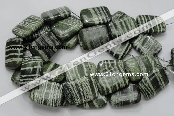 CSJ40 15.5 inches 30*40mm rectangle green silver line jasper beads