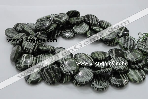 CSJ45 15.5 inches 25mm flat round green silver line jasper beads