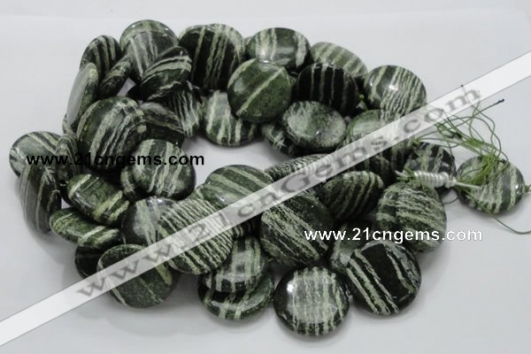 CSJ46 15.5 inches 30mm flat round green silver line jasper beads