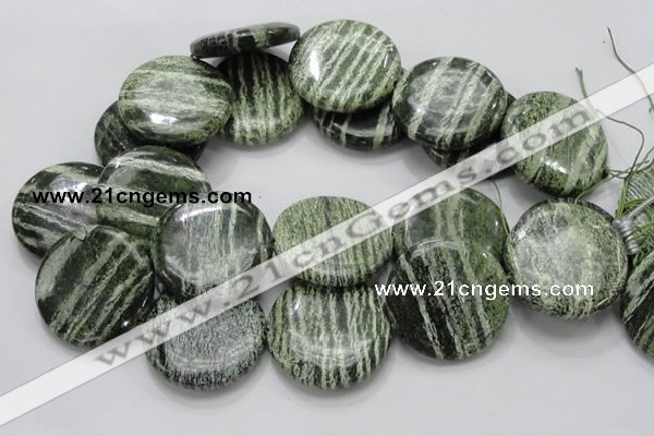 CSJ48 15.5 inches 40mm flat round green silver line jasper beads