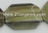 CSL08 15.5 inches 30*40mm octagonal silver leaf jasper beads wholesale