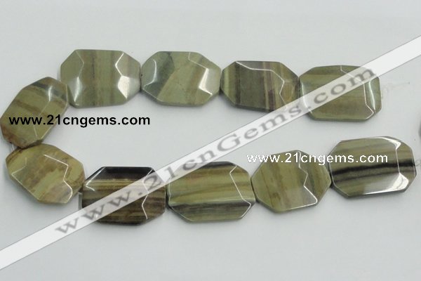 CSL08 15.5 inches 30*40mm octagonal silver leaf jasper beads wholesale