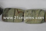 CSL121 15.5 inches 18*25mm faceted rectangle silver leaf jasper beads