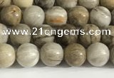 CSL150 15.5 inches 4mm round 

sliver leaf jasper beads wholesale