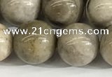 CSL154 15.5 inches 12mm round 

sliver leaf jasper beads wholesale