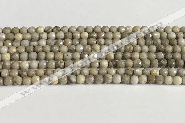 CSL156 15.5 inches 4mm faceted 

round sliver leaf jasper beads