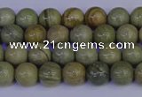 CSL200 15.5 inches 4mm round silver leaf jasper beads wholesale