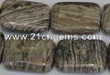 CSL70 15.5 inches 18*25mm rectangle silver leaf jasper beads wholesale