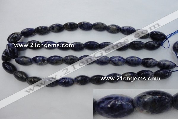 CSO359 15.5 inches 11*18mm trihedron natural sodalite beads