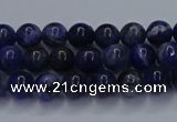 CSO610 15.5 inches 4mm round sodalite gemstone beads wholesale