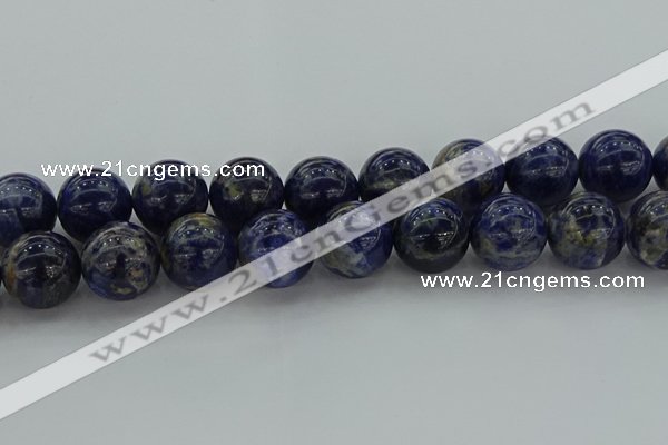 CSO639 15.5 inches 20mm round sodalite gemstone beads wholesale