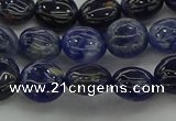 CSO670 15.5 inches 10mm flat round sodalite gemstone beads