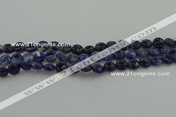 CSO670 15.5 inches 10mm flat round sodalite gemstone beads