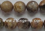 CSS100 15.5 inches 16mm faceted round natural sunstone beads wholesale