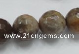 CSS101 15.5 inches 18mm faceted round natural sunstone beads wholesale