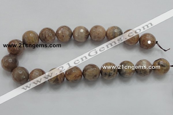 CSS102 15.5 inches 20mm faceted round natural sunstone beads wholesale