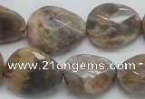 CSS111 15.5 inches faceted freeform natural sunstone beads wholesale