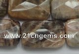 CSS115 15.5 inches 20*30mm faceted rectangle natural sunstone beads