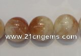 CSS20 15.5 inches 16mm round natural sunstone beads wholesale