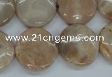 CSS239 15.5 inches 20mm flat round natural sunstone beads