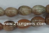 CSS248 15.5 inches 12*16mm teardrop natural sunstone beads