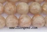 CSS792 15.5 inches 10mm round golden sunstone beads wholesale