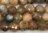 CSS830 15 inches 6mm faceted round sunstone beads