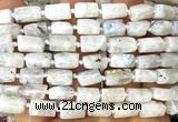 CTB1270 15 inches 6*10mm - 8*12mm faceted tube white moonstone beads