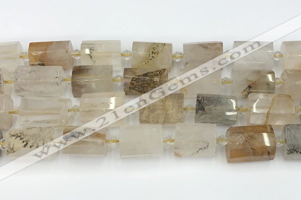CTB872 13*25mm - 14*19mm faceted tube scenic quartz beads