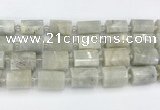 CTB876 13*25mm - 14*19mm faceted tube moonstone beads