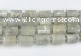 CTB876 13*25mm - 14*19mm faceted tube moonstone beads