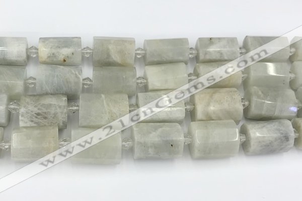 CTB876 13*25mm - 14*19mm faceted tube moonstone beads